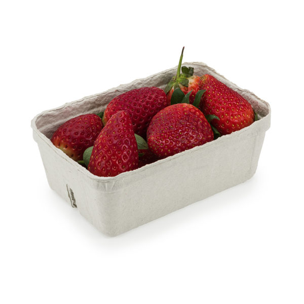 moulded fibre punnet with Strawberries