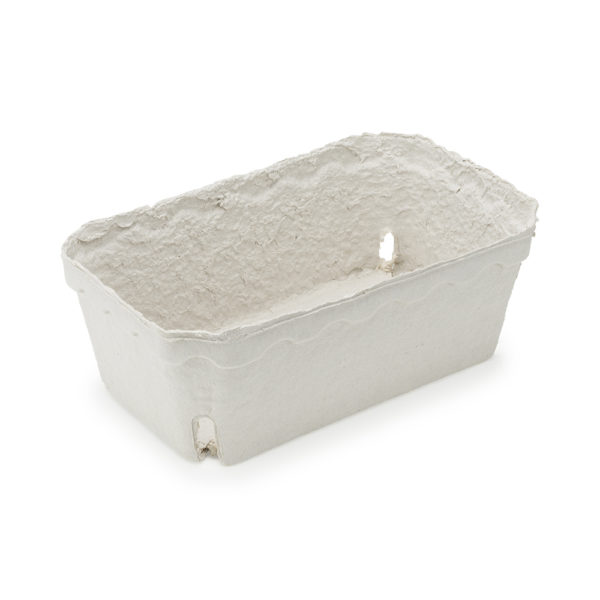 moulded fibre punnet for fruit packaging