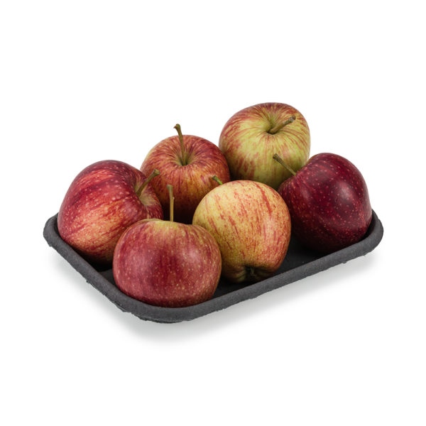 Black moulded fibre tray with 6 apples