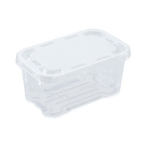 top seal punnet with lid
