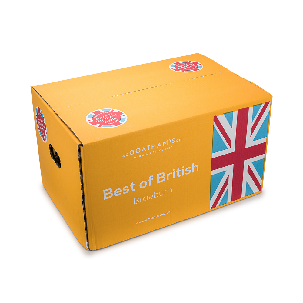 branded export carton lide for food