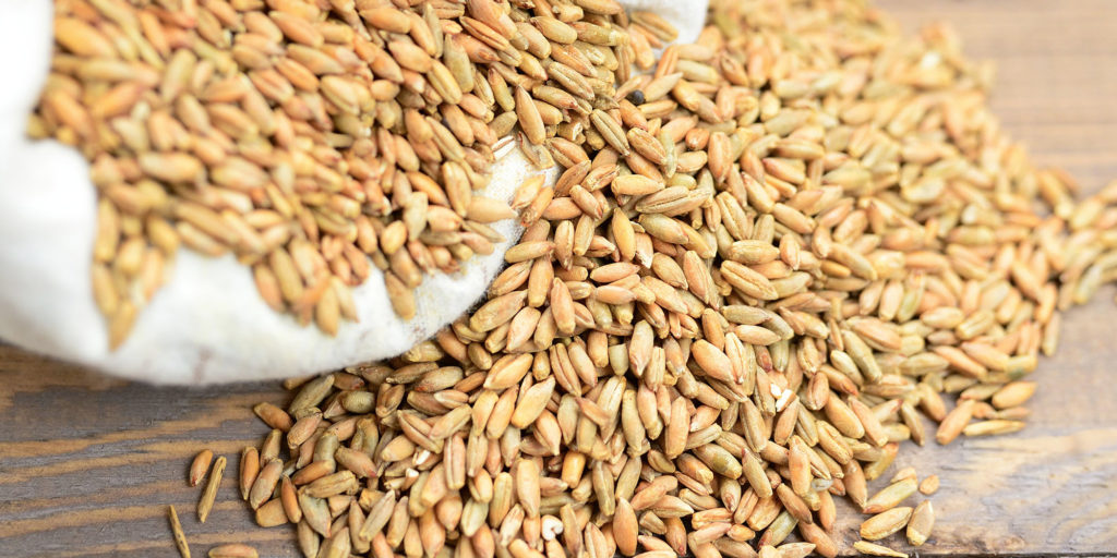 cereal grains in a sack