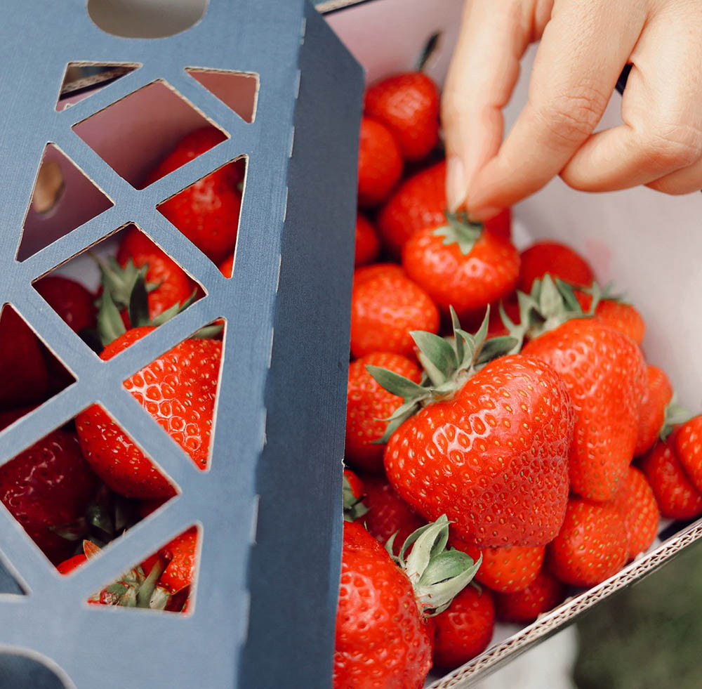 strawberries in branded packaging