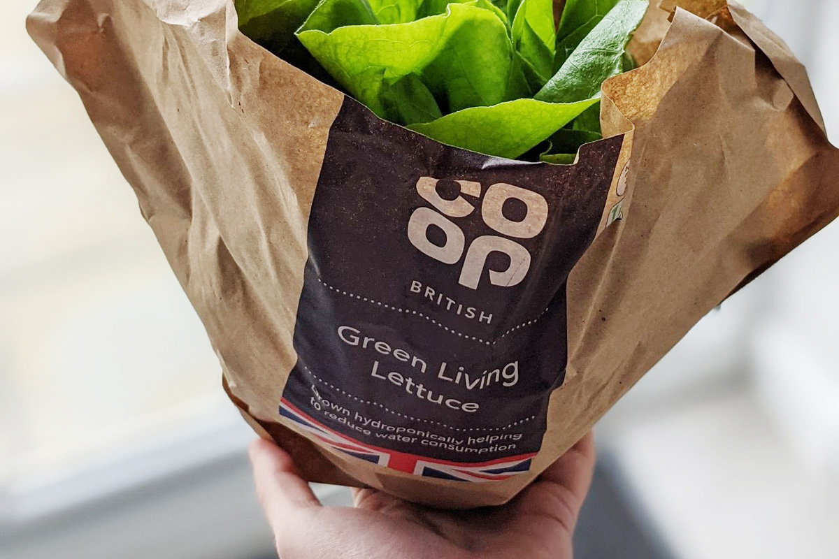 Coop Living Lettuce Bags Westpak