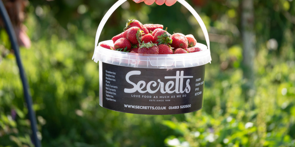 Branded pick your own bucket with strawberries