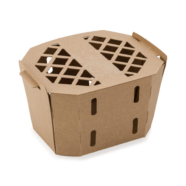 Cardboard Nested Tray with lattice vent lid