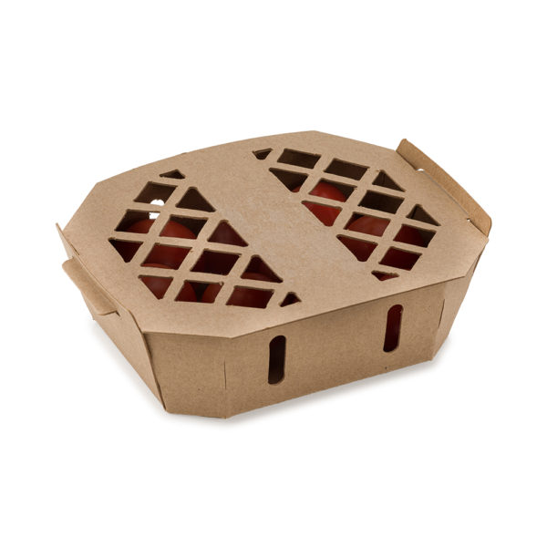 Cardboard Nested Tray for tomatoes with lid