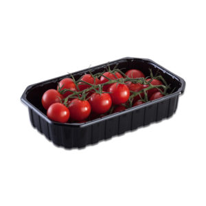 fruit punnet for tomatoes