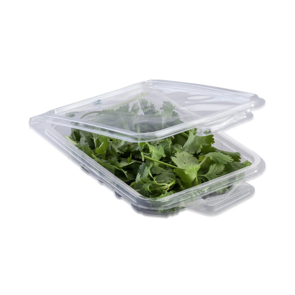 rectangle clamshell punnet for herbs