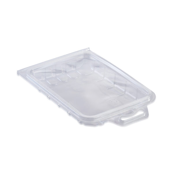 rectangle clamshell punnet for herbs