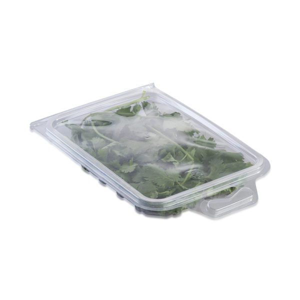 rectangle clamshell punnet for herbs