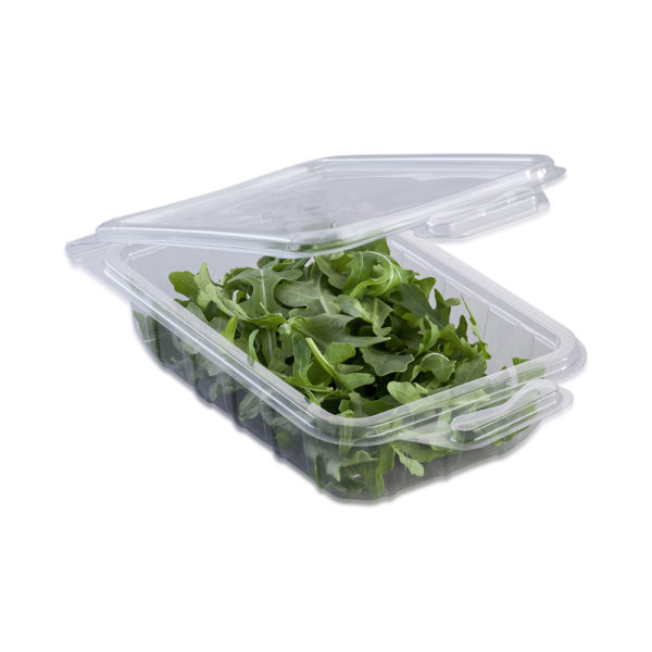 rectangle clamshell punnet for herbs