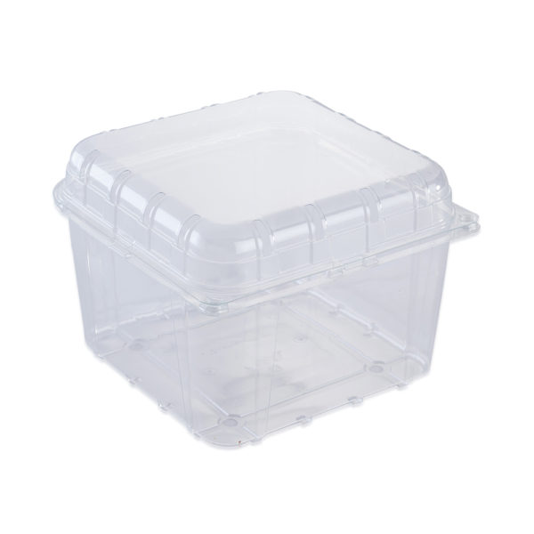 clamshell punnet for food packaging