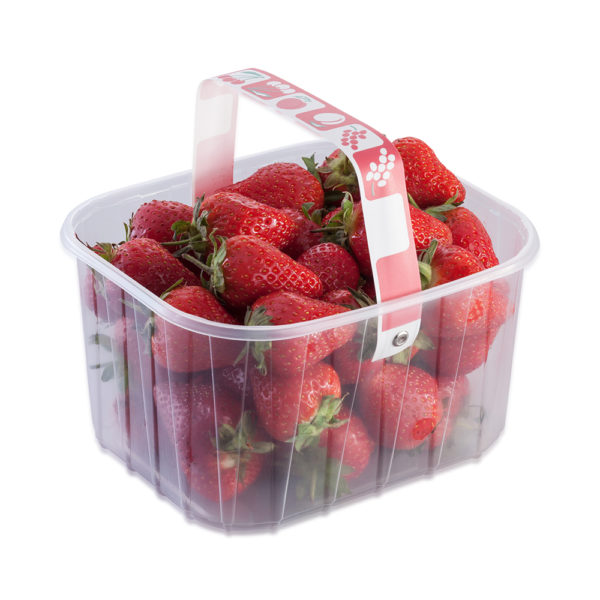clear PYO punnet with handle for strawberries
