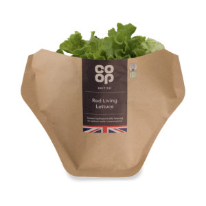 co-op branded paper living lettuce sleeve