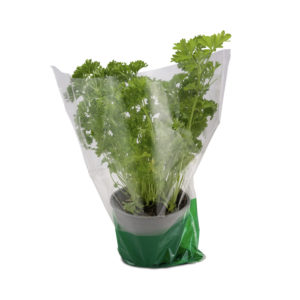 cpp polythene herb bag