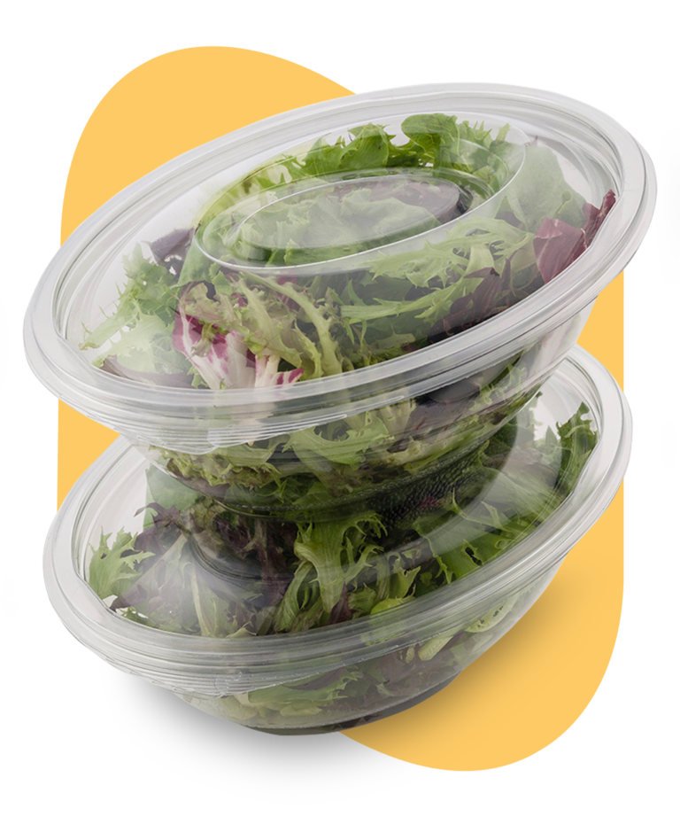 Chilledtogo salad bowls Westpak