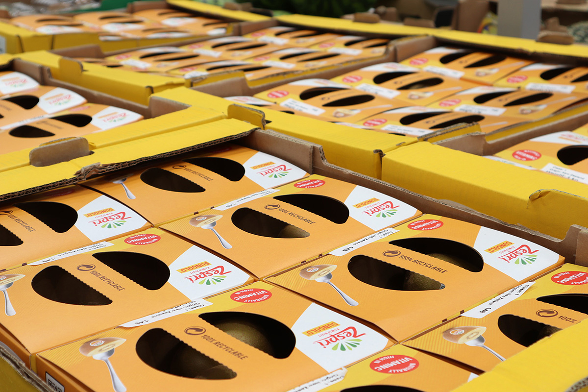 Zespri Sungold Kiwi Boxes Westpak